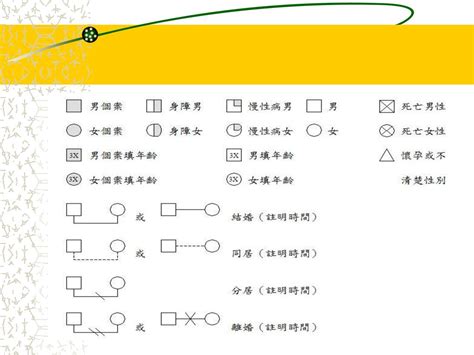 家庭圖關係線|親屬圖範本：可視化家庭關係